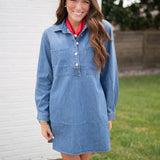 Z Supply Lucie Denim Shirt Dress
