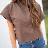 Brown Top