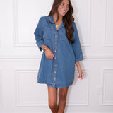Denim Long Sleeve Dress