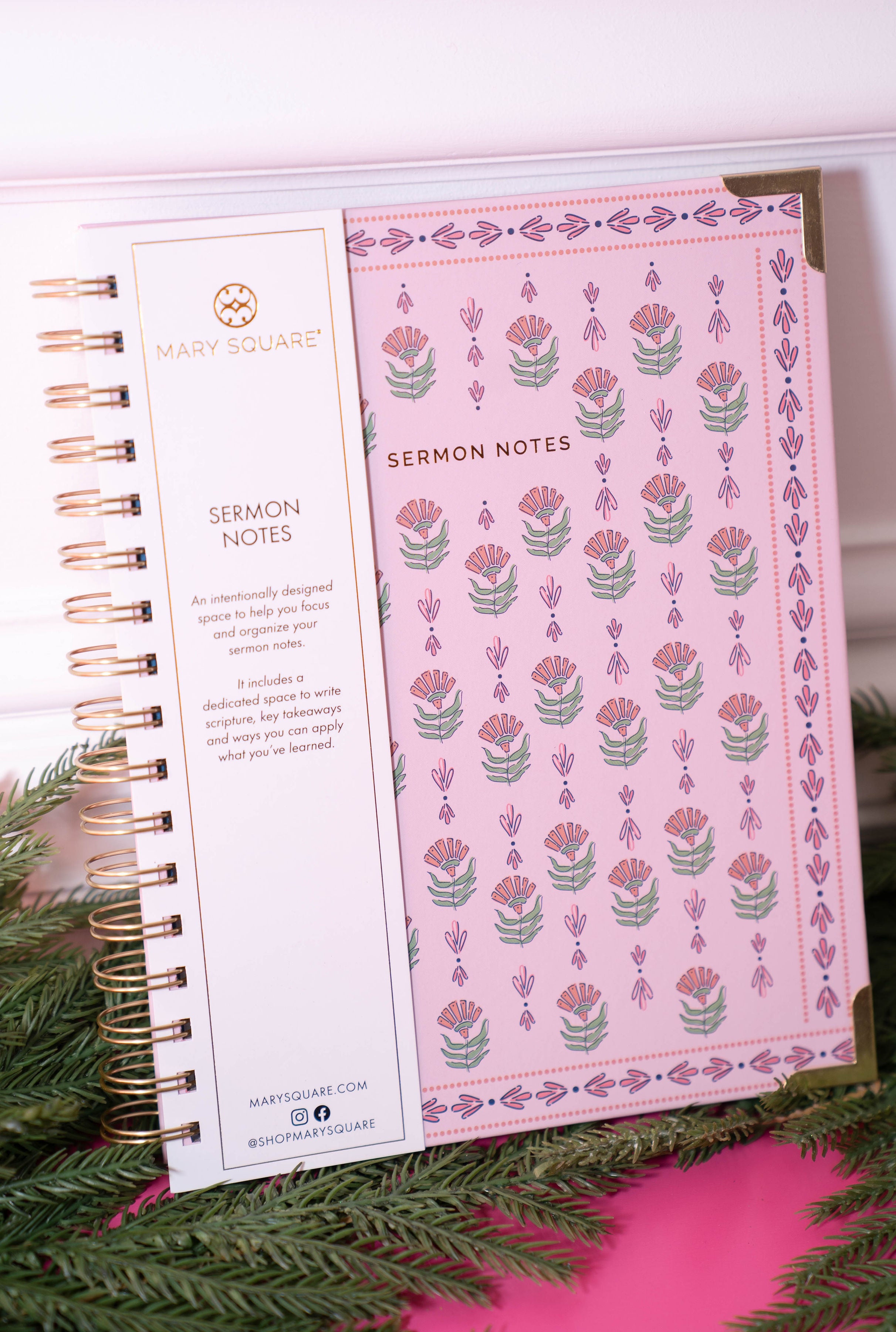 Mary Square Meadow Moment Sermon Notes