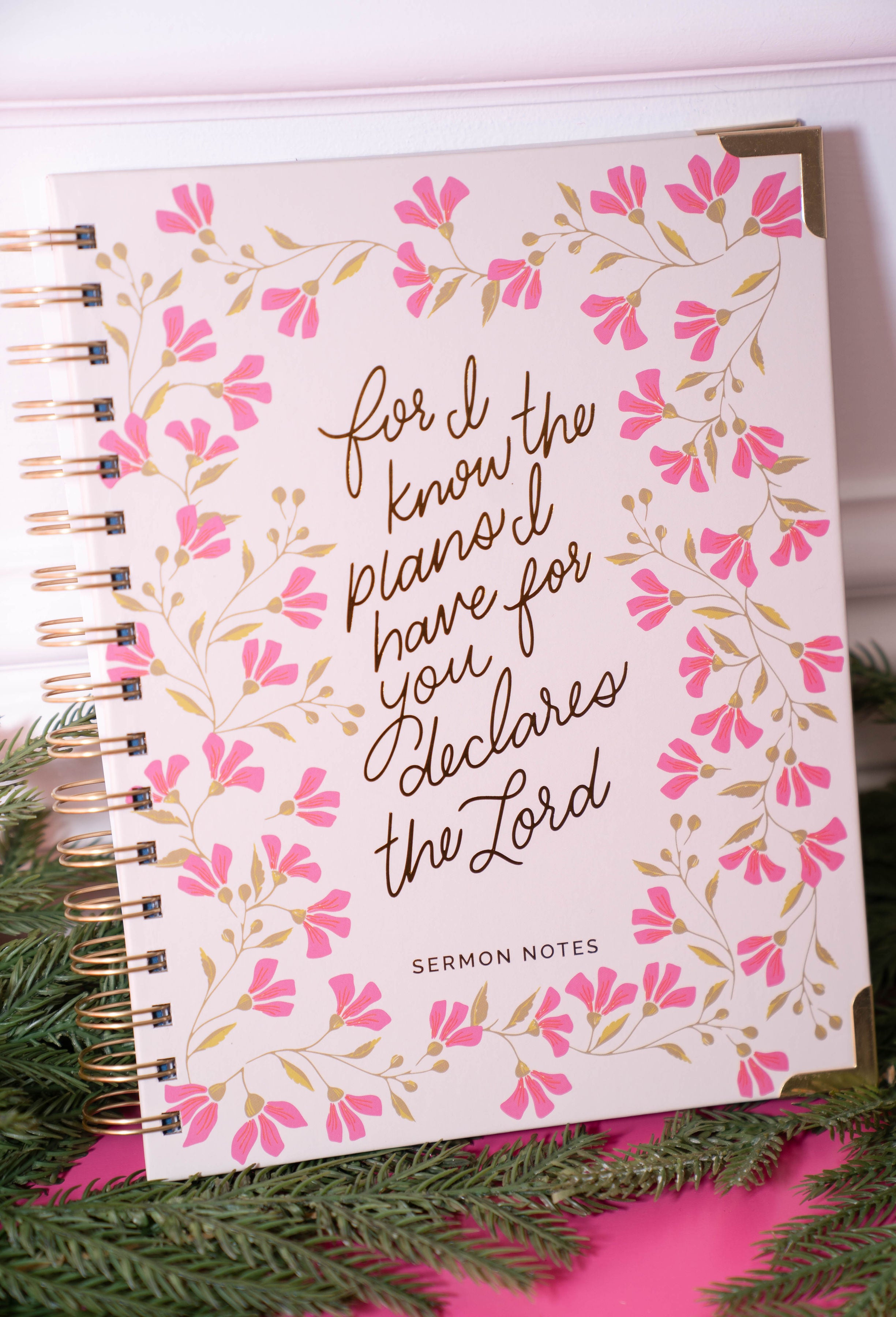 Mary Square Know The Plans Sermon Notes