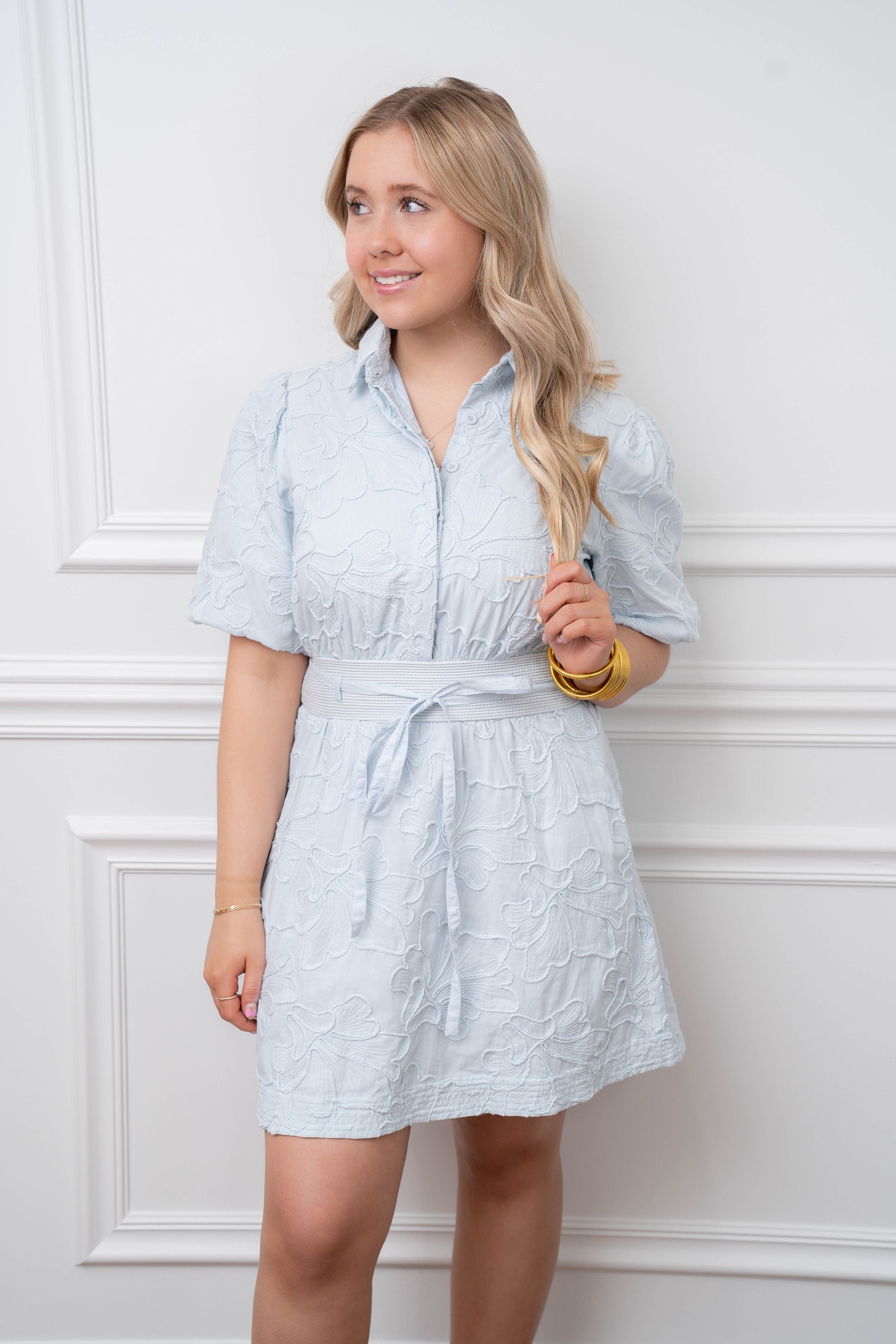 Studio Crystal Blue Embroidered Dress