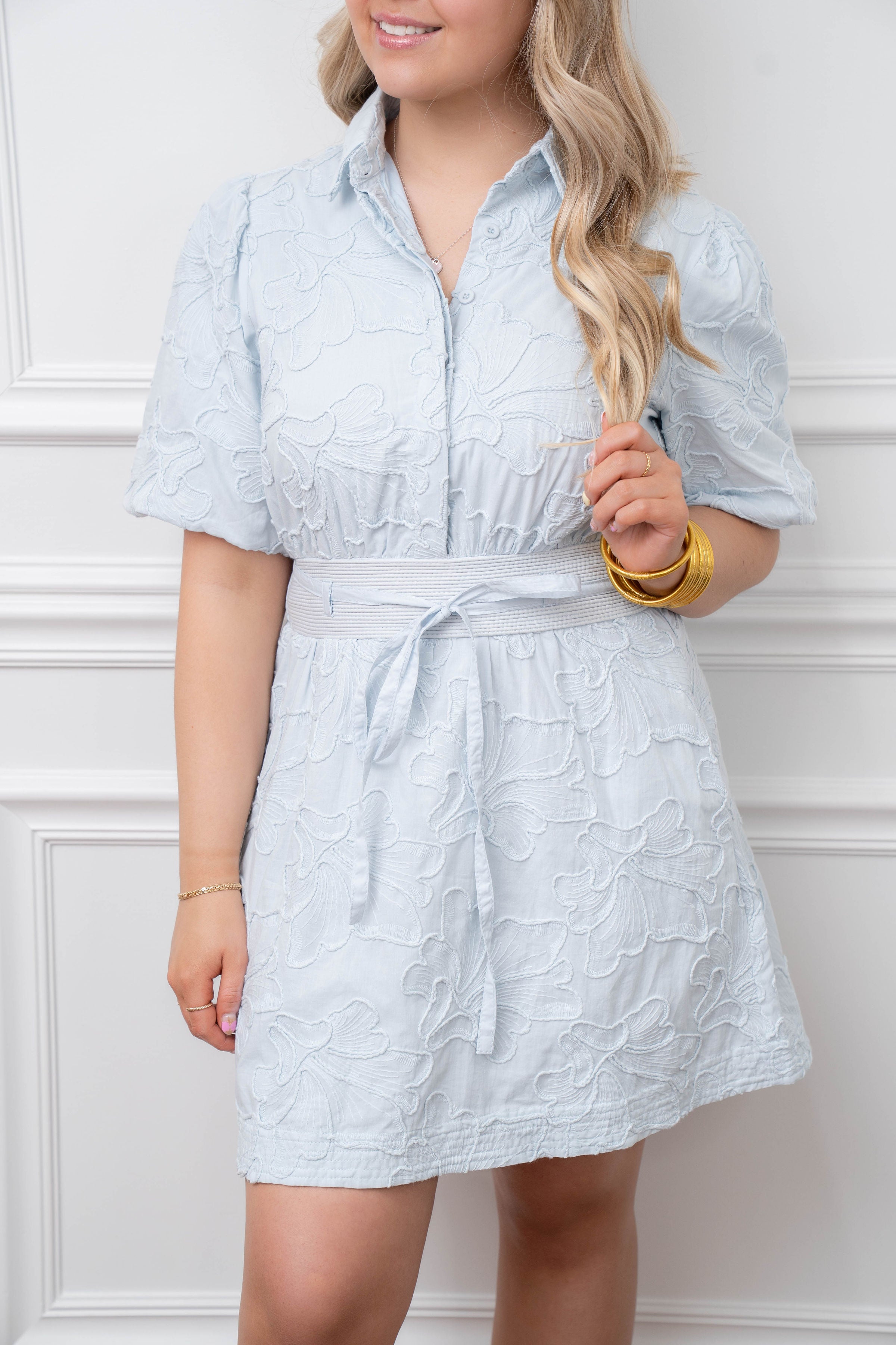 Studio Crystal Blue Embroidered Dress