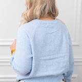 Z Supply Light Blue Coming Up Sweater